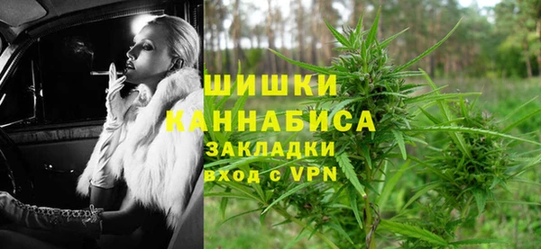 прущие грибы Медвежьегорск