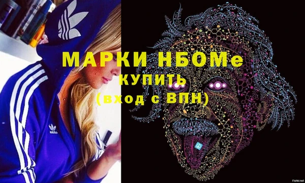 хмурый Магас