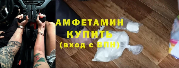 прущие грибы Медвежьегорск