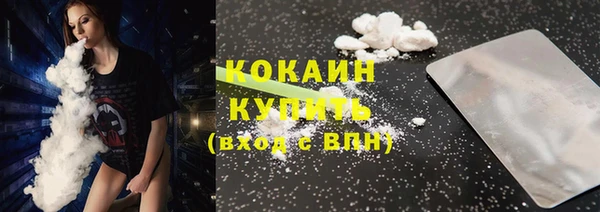 хмурый Магас