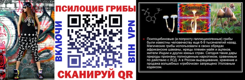 Псилоцибиновые грибы мицелий Спас-Клепики