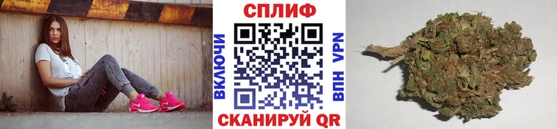 блэк спрут как зайти  Спас-Клепики  Шишки марихуана планчик 